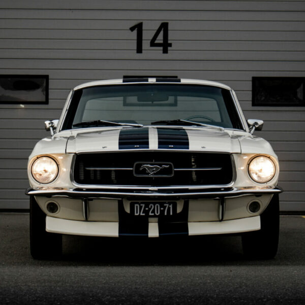 Ford Shelby White Car